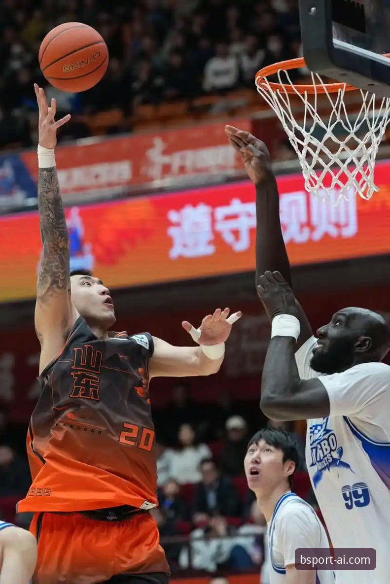资深用户分享：bsport平台观战CBA季后赛浙江逆转宁波实战体验