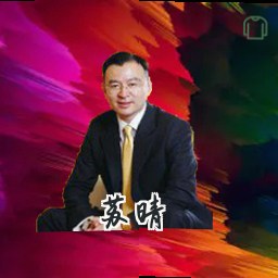 苏晴